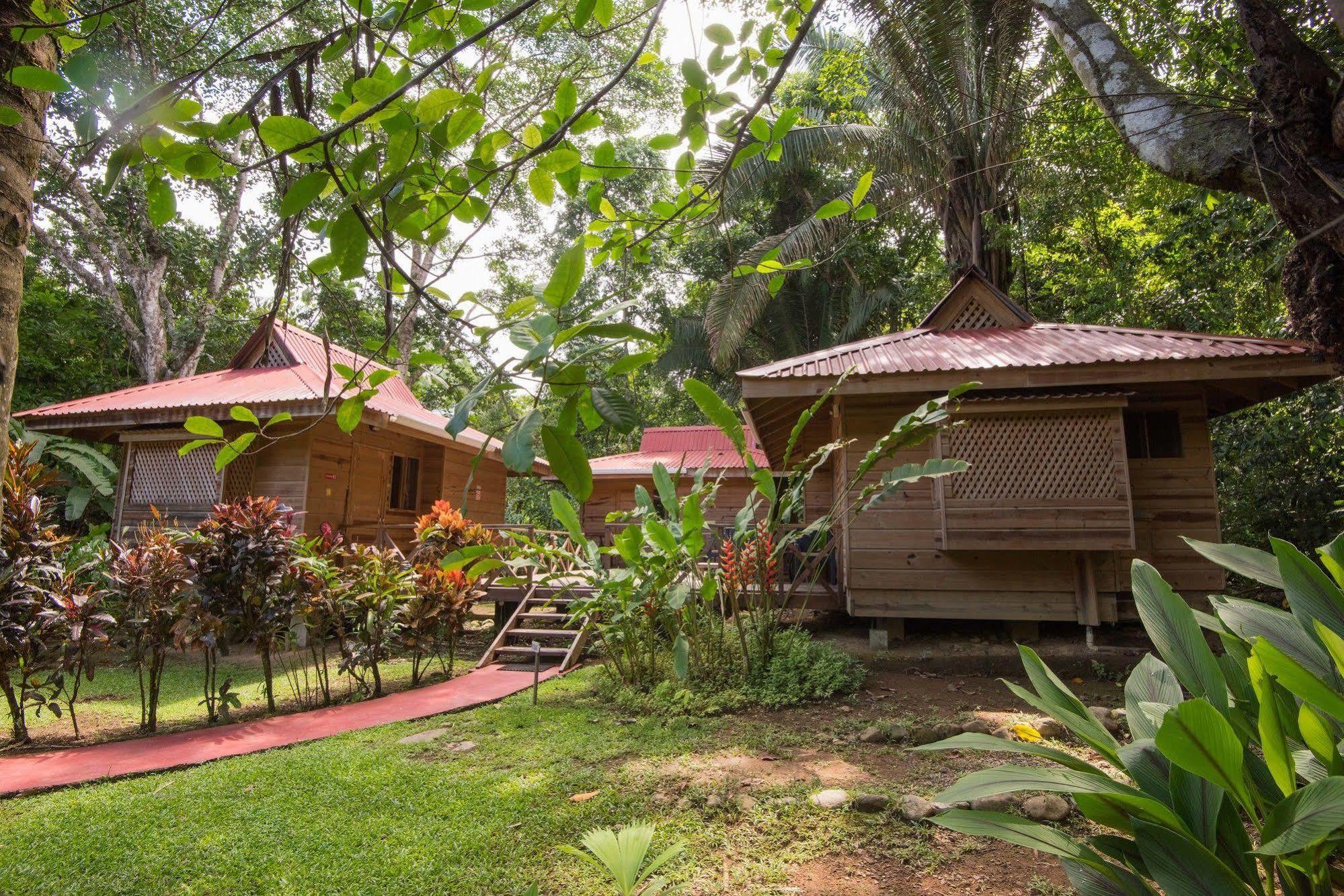Hotel El Mono Feliz โอเฆชาล ภายนอก รูปภาพ