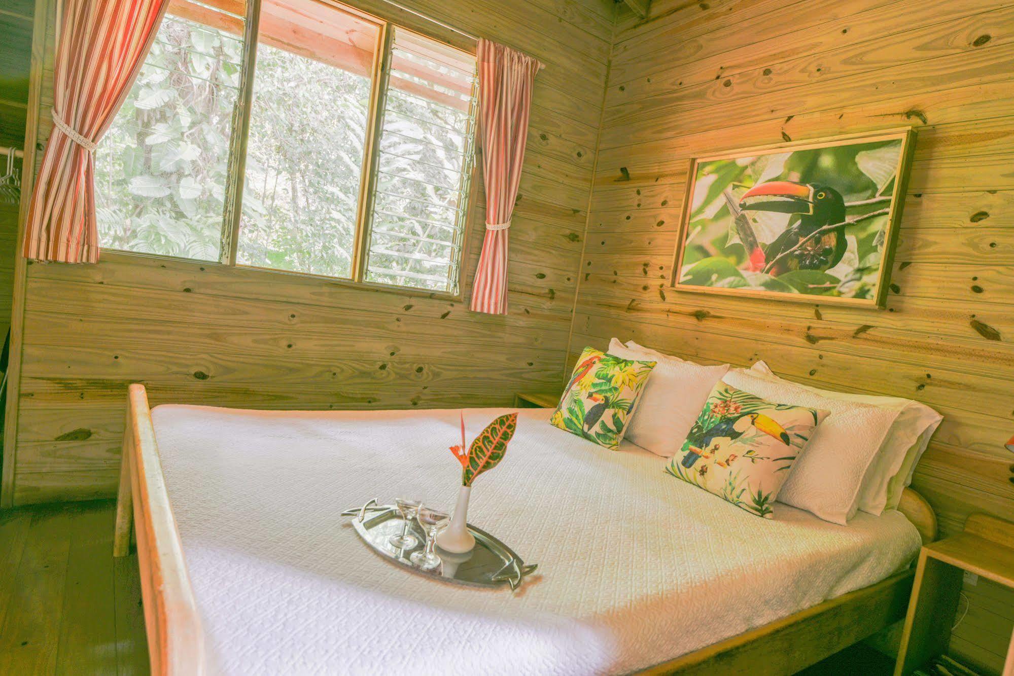 Hotel El Mono Feliz โอเฆชาล ภายนอก รูปภาพ