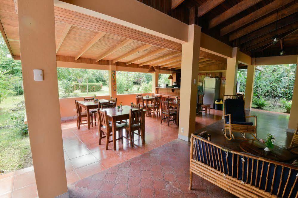 Hotel El Mono Feliz โอเฆชาล ภายนอก รูปภาพ