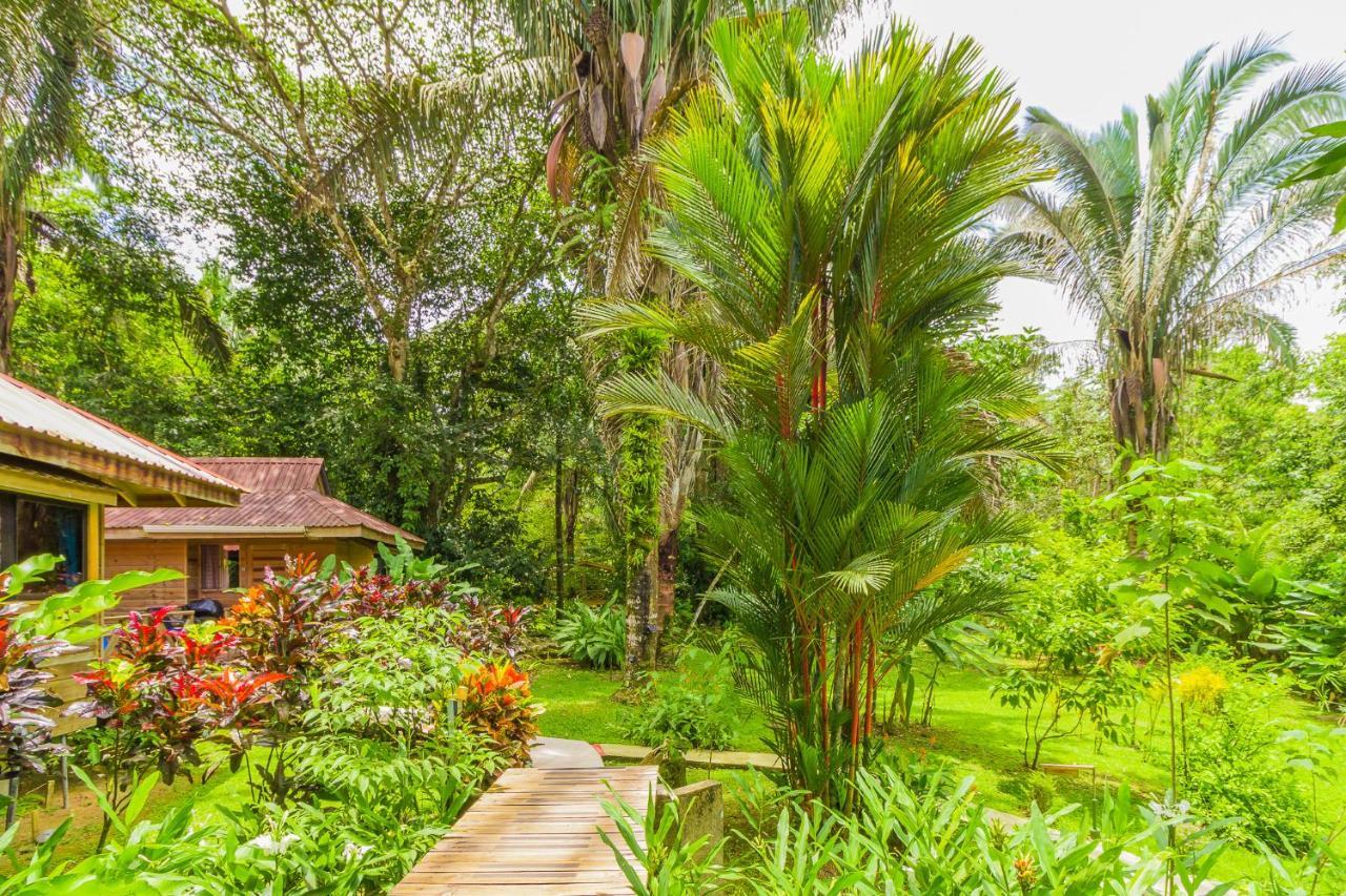 Hotel El Mono Feliz โอเฆชาล ภายนอก รูปภาพ