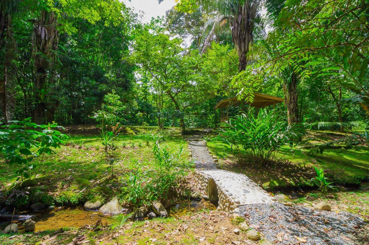 Hotel El Mono Feliz โอเฆชาล ภายนอก รูปภาพ