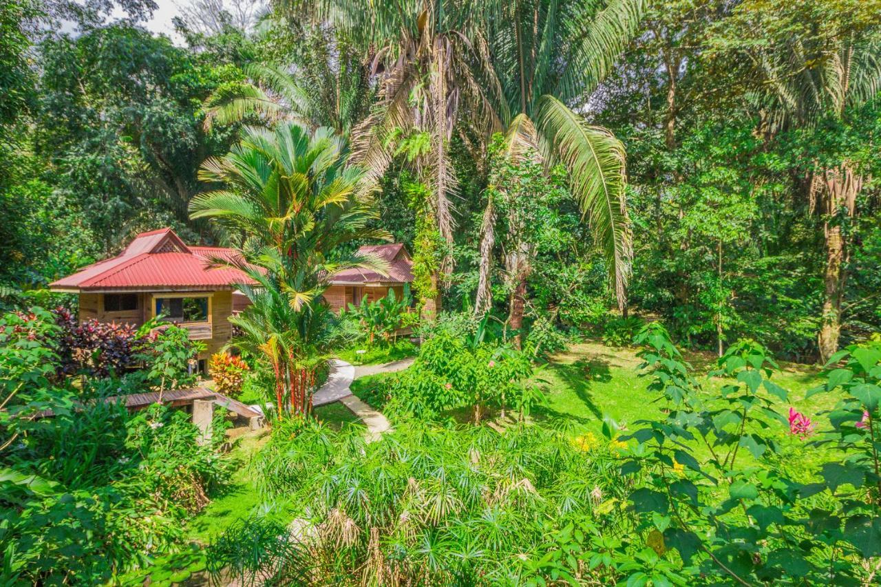 Hotel El Mono Feliz โอเฆชาล ภายนอก รูปภาพ